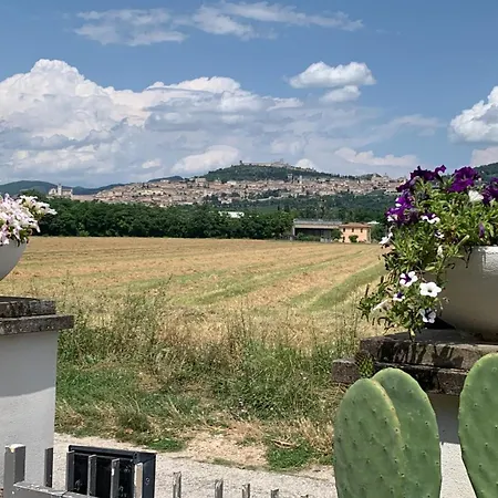 Panorama D'assisi 3*